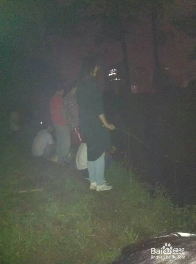 深夜结伴钓龙虾好玩又好吃!