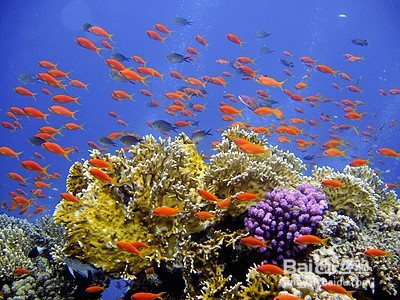 迷茫的时候应该怎么办