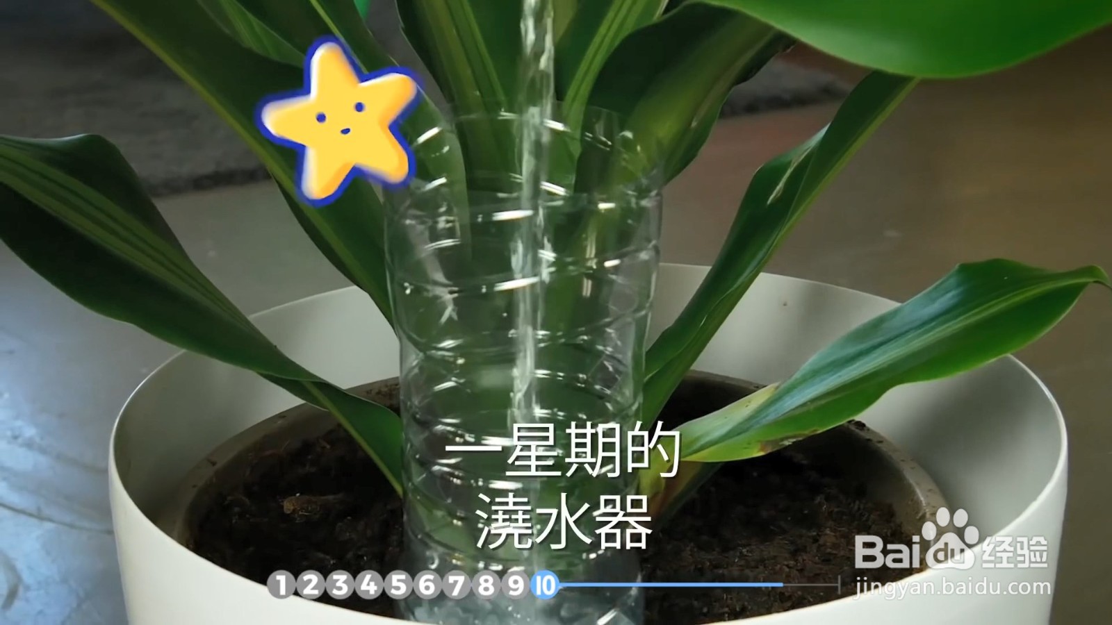 如何制作自动浇水神器？