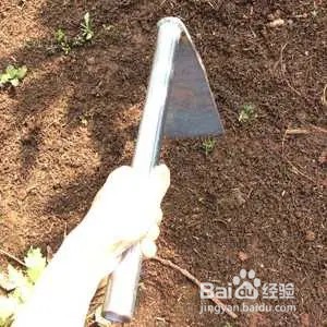 锄头的用途和使用方法