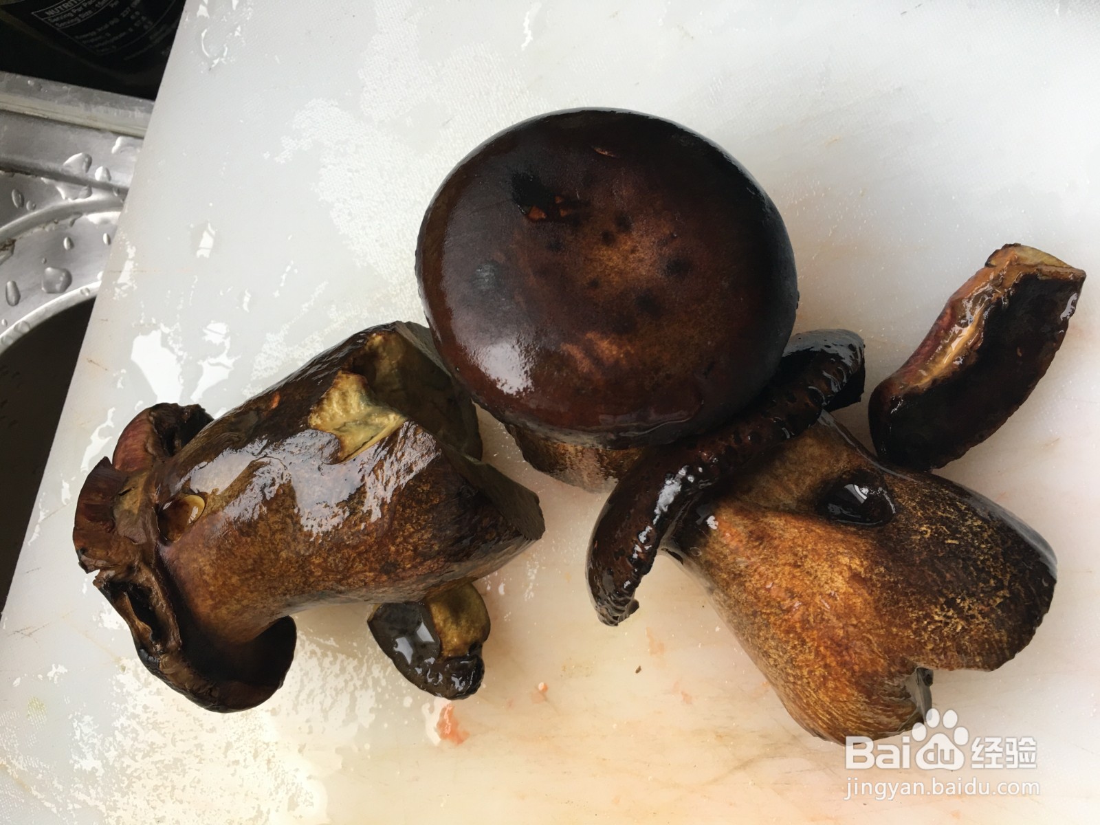 如何炒肉丝牛肝菌