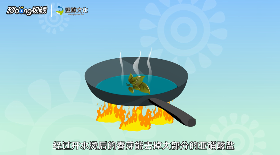 春芽应该怎么吃