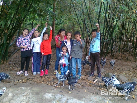 99%小朋友不知花生长地里还是挂树上，你信吗？