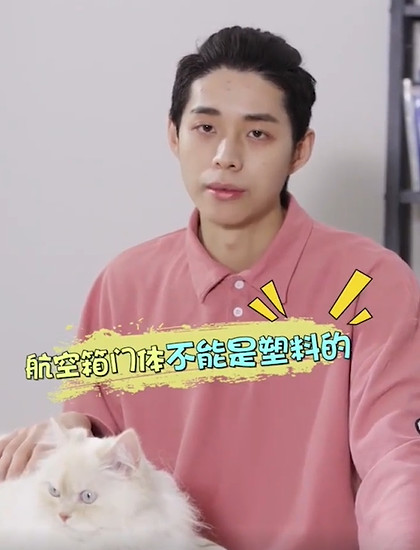如何正确空运一只猫