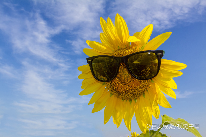 电风扇进水了又通电了怎么办