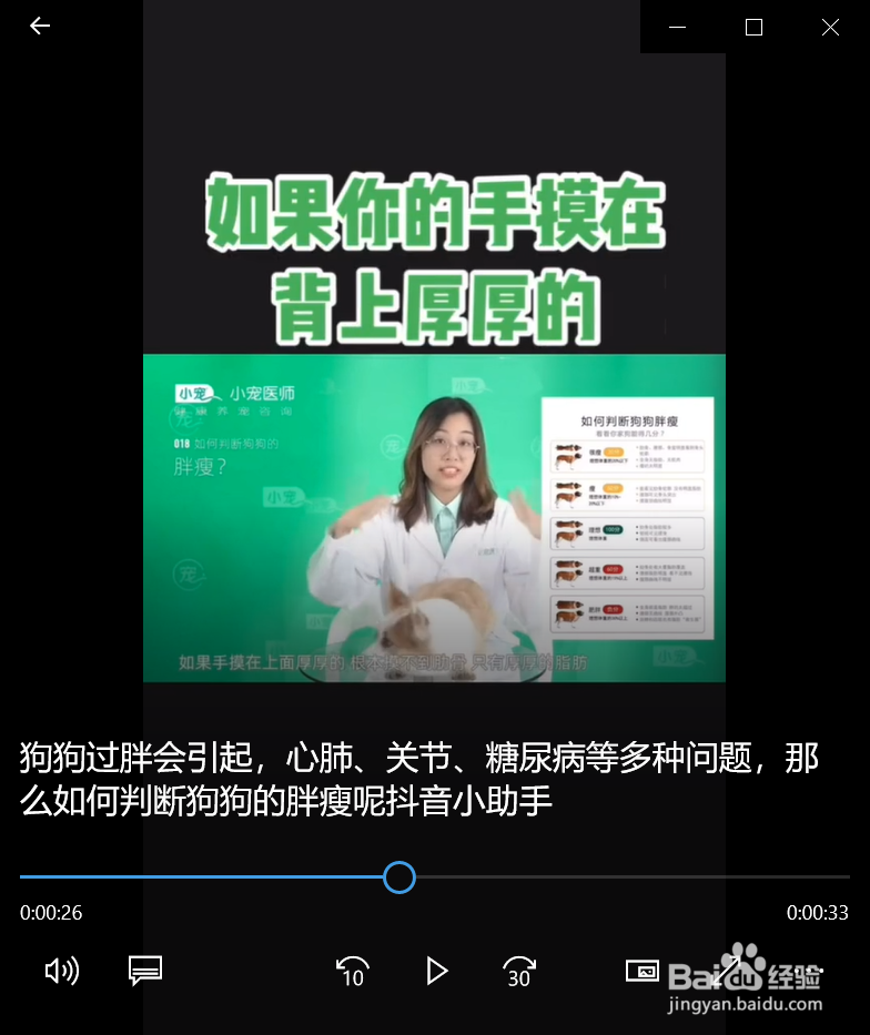 如何正确的判断狗狗胖瘦呢？