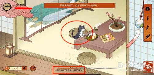 原神清风雅游小动物攻略