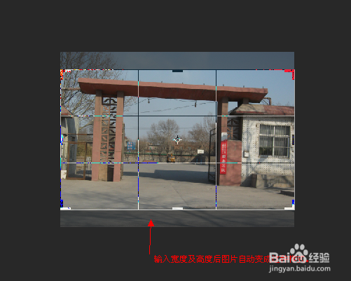 将图片转换成固定的文件大小