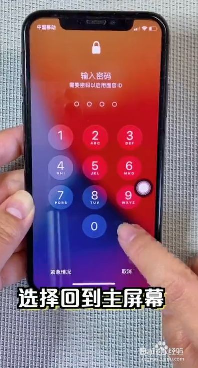 选择回到主屏幕,现在你的iphone就彻底清理干净了,不卡顿了