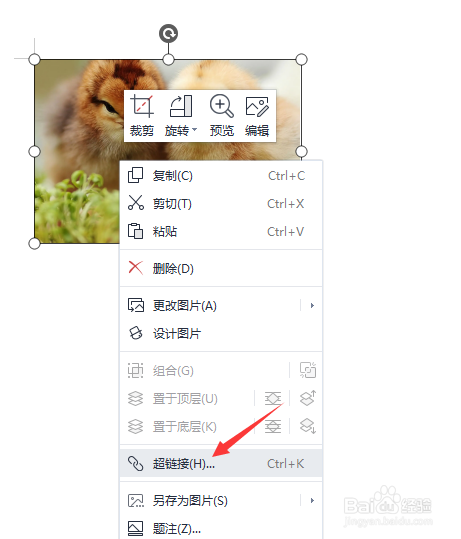 在文档中怎样给图片添加超链接
