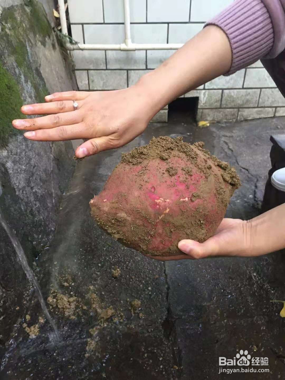 长沙农家乐年会场地推荐
