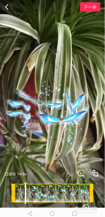 抖音灵性蝴蝶特效怎么弄 好多飞舞蝴蝶特效在哪
