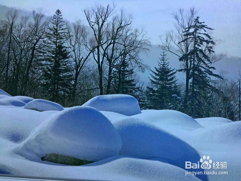 雪景的美丽和魅力