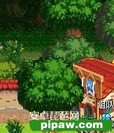 龙世纪枪手攻略