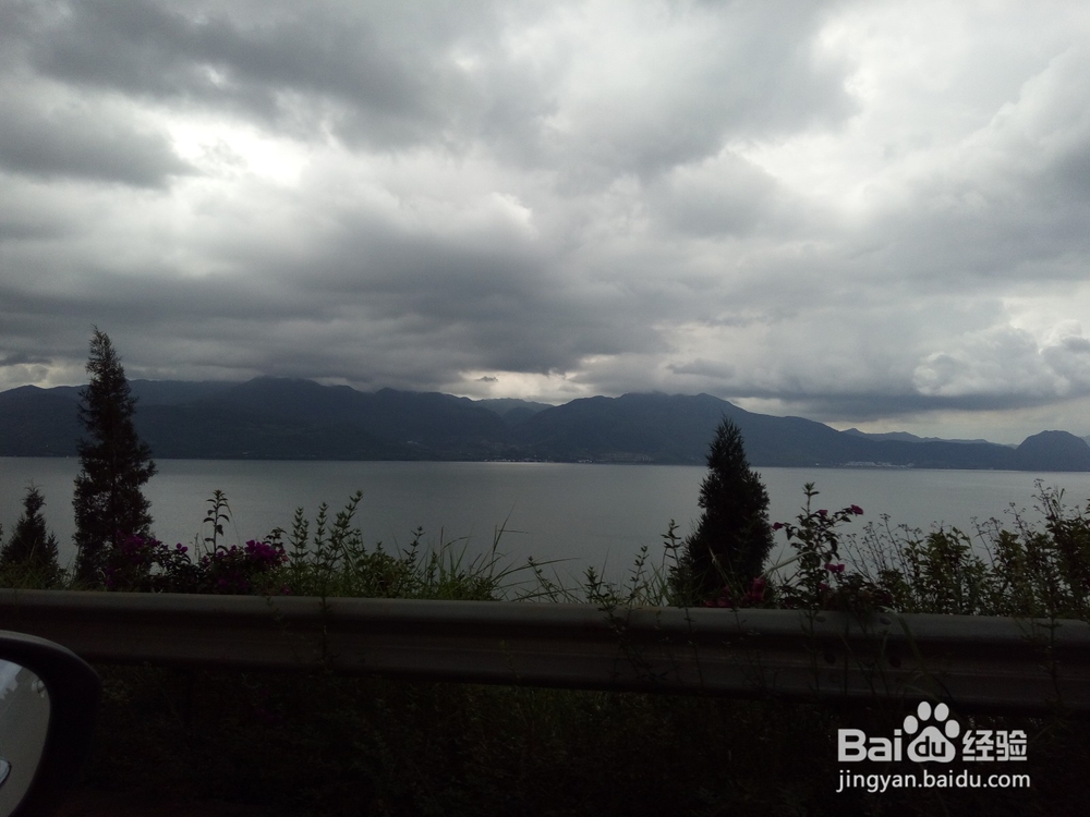 云南最美玉溪抚仙湖之樱花谷湿地公园情侣约会旅