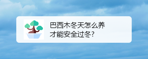 冬天生活小常识(冬天生活小常识100条幼儿园)