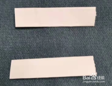和孩子一起边玩边学鲨鱼宝宝
