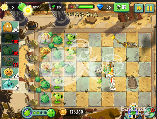 植物大战僵尸2攻略 神秘埃及 第四天二星