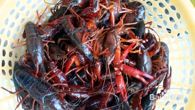 麻辣小龙虾的做法
