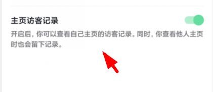 抖音怎样打开主页访客记录