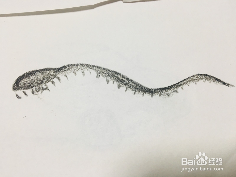 黑曼巴蛇怎么画