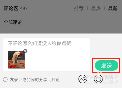 QQ音乐在哪里发布图片评论