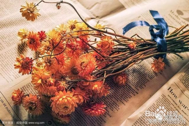 带你细数那些年沭阳有什么