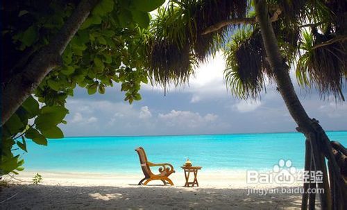 马尔大夫-神仙珊瑚岛