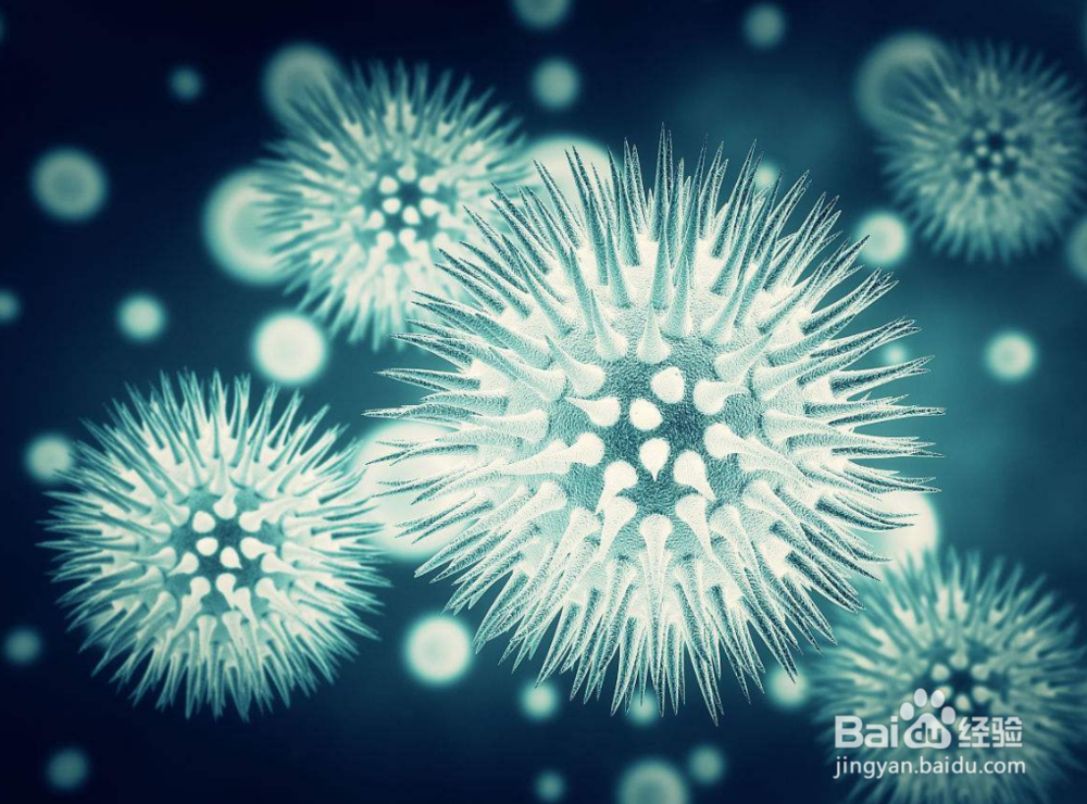 扁平疣的常见传播途径有哪些