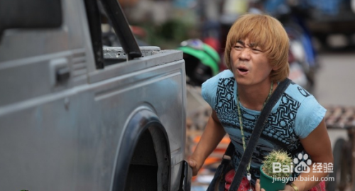 仙人球防辐射吗,事实真相是什么