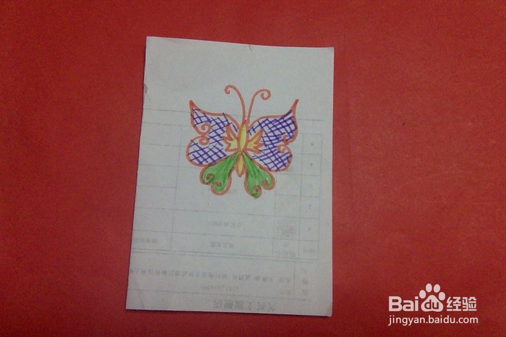 怎样画蝴蝶？儿童画创意昆虫手工画 十六