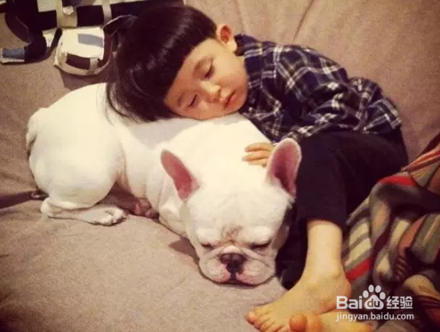 对很多养宠物家庭来说，怀孕了能不能养宠物？