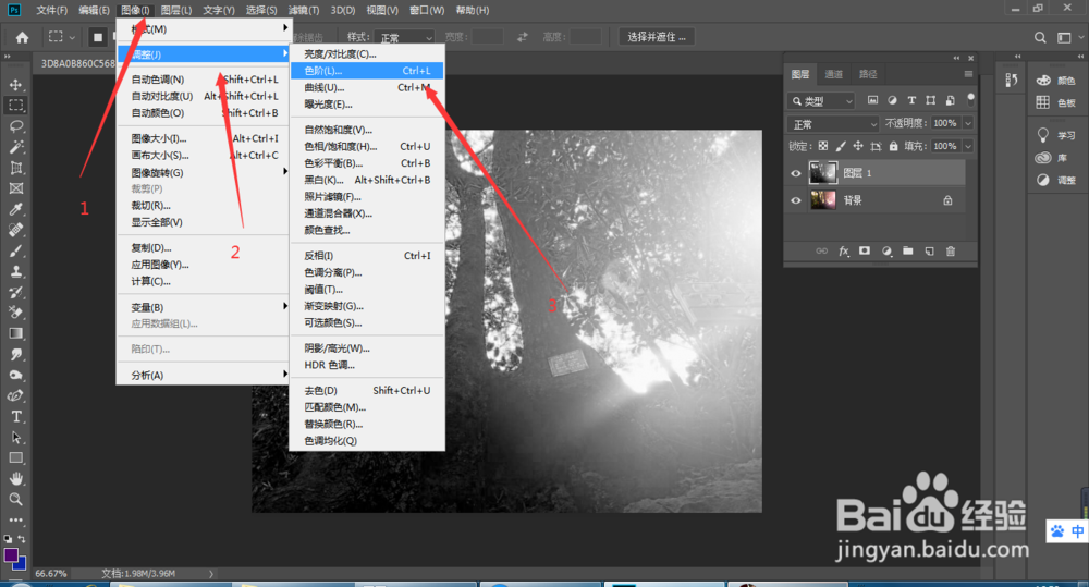ps怎么制作光影森林效果