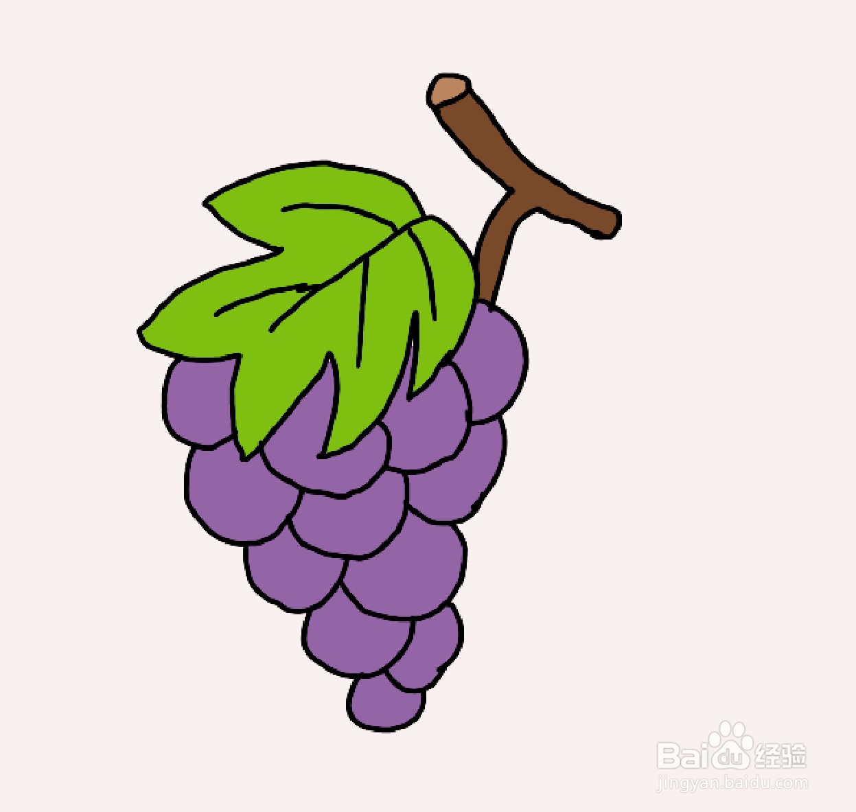 紫色葡萄 简笔画图片