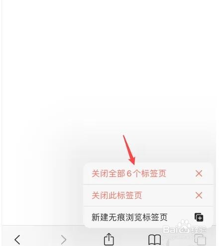 Safari浏览器怎么快速关闭所有标签页