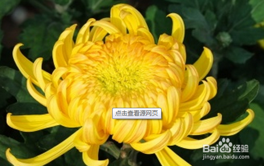 哪些食物不能放在一起吃