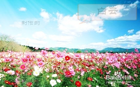 2345看图王美化图片!