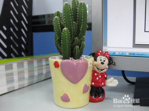 上班族工作中如何防近视