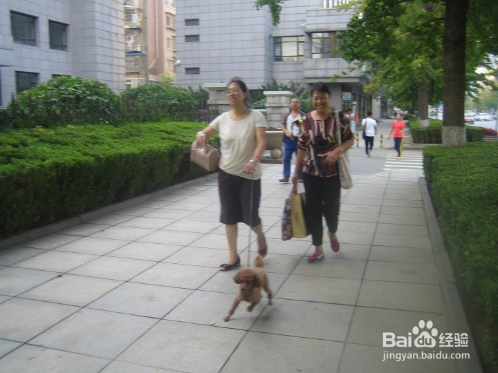 朋友在一起要注意道路行走安全