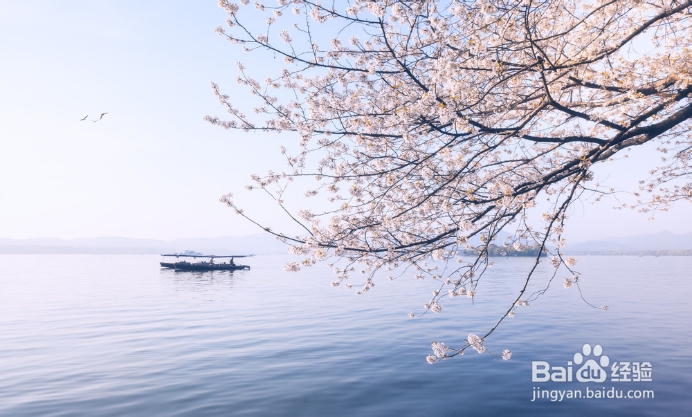 慈溪日语培训机构怎么选择