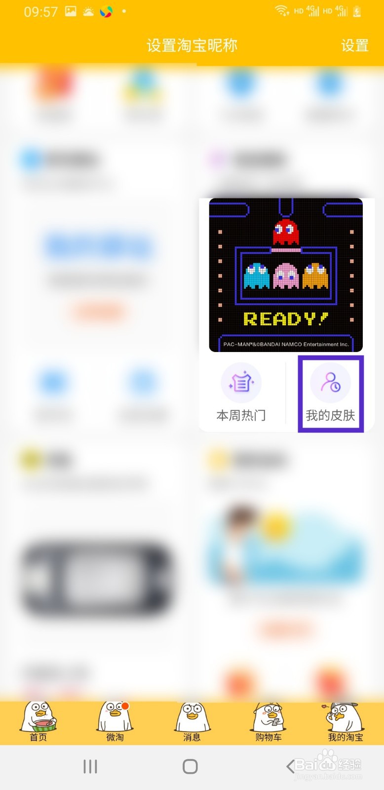 手机淘宝如何查看使用过的皮肤