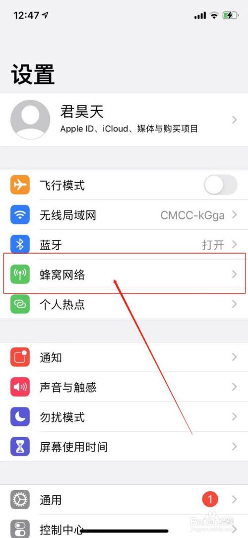 点击"设置"图标,在该页面的最上方,找到"蜂窝网络,如图