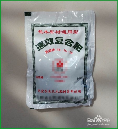 发财树的养殖方法及注意事项