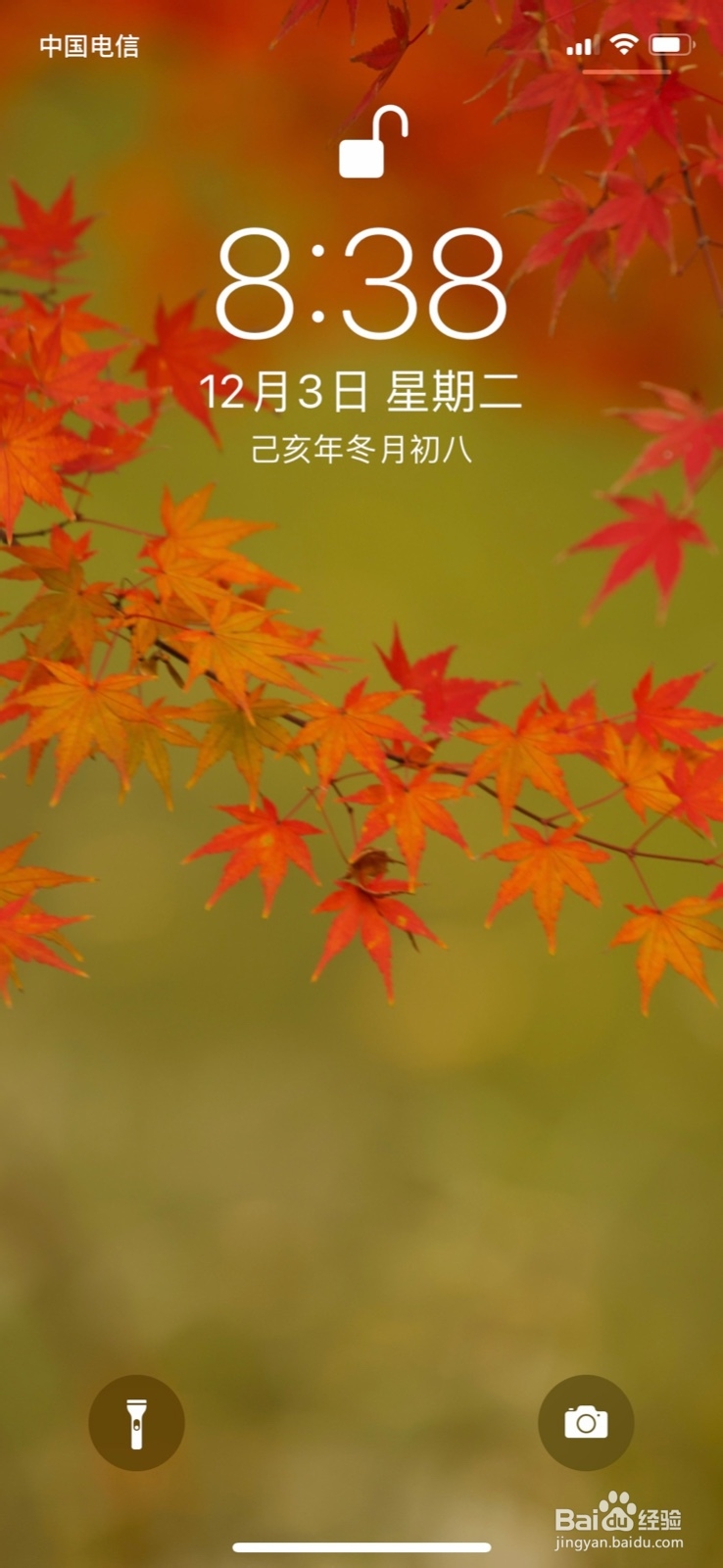 iPhone怎么换壁纸