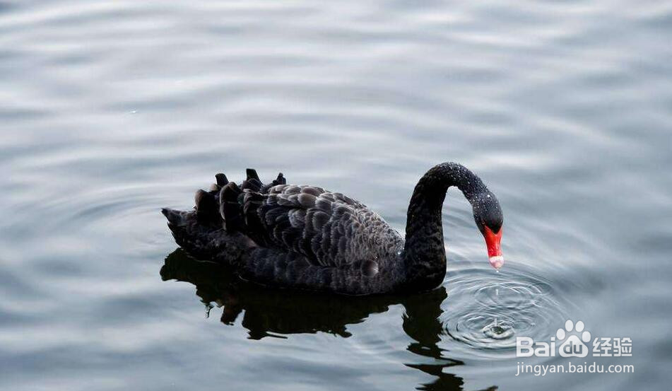 【股票】建立防线