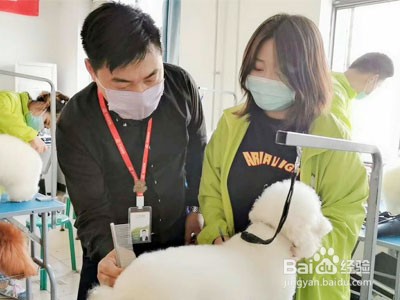 问营业一家宠物店需要办理哪些证件