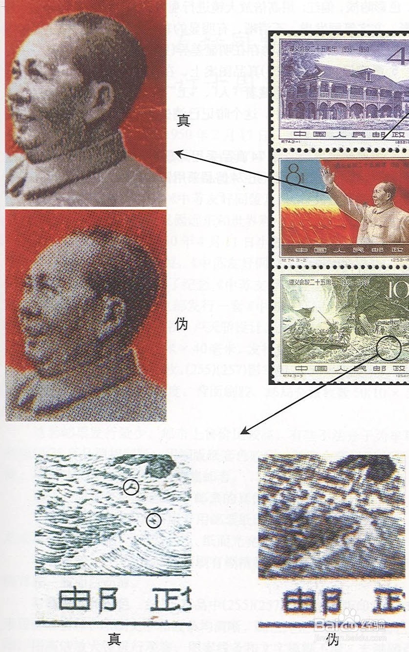 怎样分辨邮票真伪