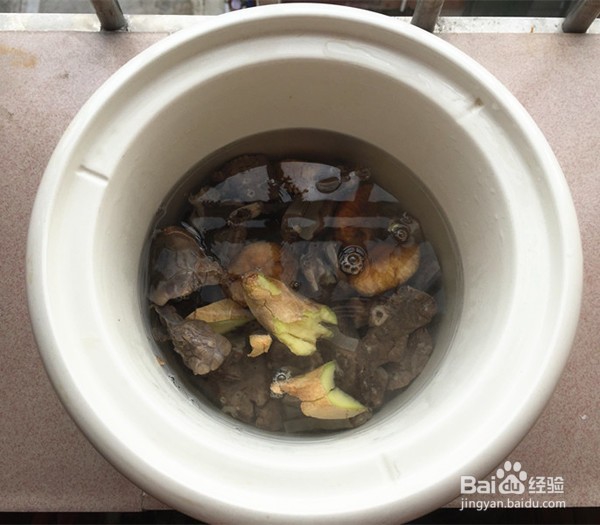 如何自制无花果煲猪肺汤