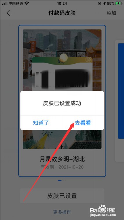 支付宝付款码换肤