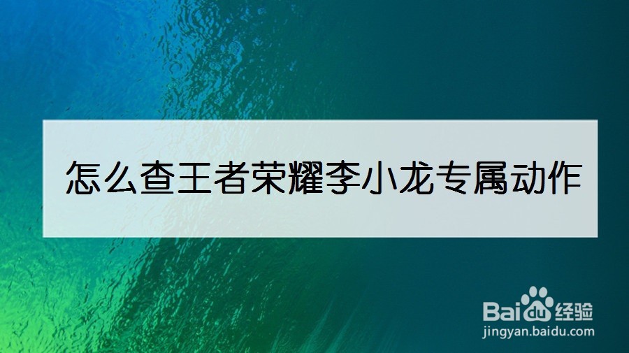 怎么查王者荣耀李小龙专属动作